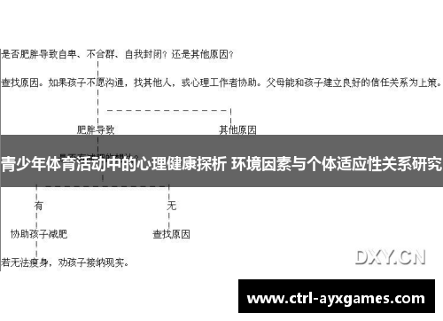 青少年体育活动中的心理健康探析 环境因素与个体适应性关系研究
